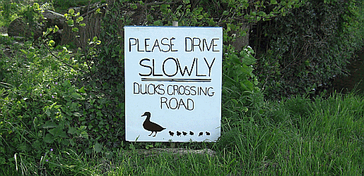 Unorthodox approach to Road Safety Picture of Slow Down road traffic saftey campaign
