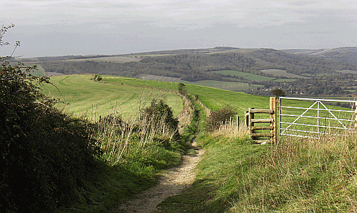 Picture of the views from Amberley Mount on the South Downs Way 