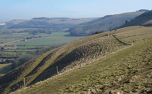 Picture of the South Downs Way above Edburton