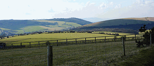 Picture of the South Downs near the Sussex Border Post.