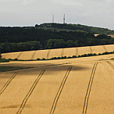 South Downs Way Guide picture