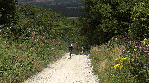 Mountain bikers on the South Downs Way in Sussex