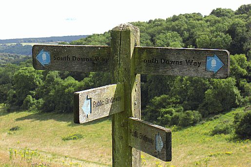 South Downs Way marker near Treyford. Part of our guide to the South Downs Way Picture of downland countryside north of Chilgrove in Sussex.