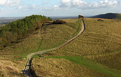 Picture of Pen Hill and the South Downs Way