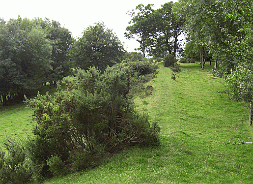 Picture of the Roman Raod Stane Street near Eartham in west Sussex