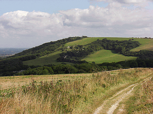 Picture of the South Downs Way near Sullington Hill 