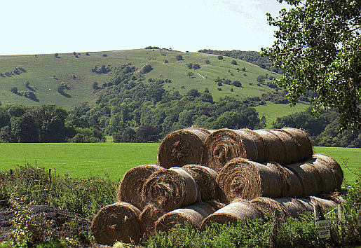 The view of the South Downs from outside the church at Sullington A photo of Sullington in West Sussex