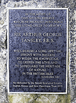 Tansley Stone inscription