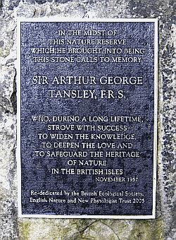 Detail of the Tansley Monument Tansley Stone inscription