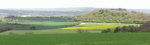 Photo of Torberry Hill