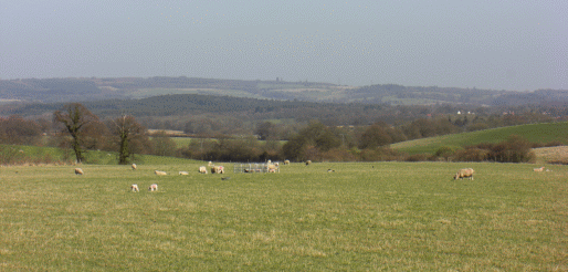 Picture of countryside near Treyford