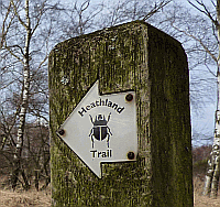 Hathland walks near Midhurst