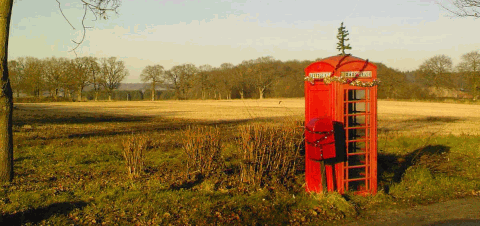 Picture of the village phone box at Elsted Marsh in Sussex