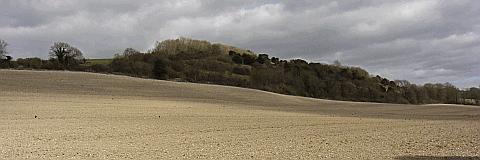 Picture of farmland on the South Downs 