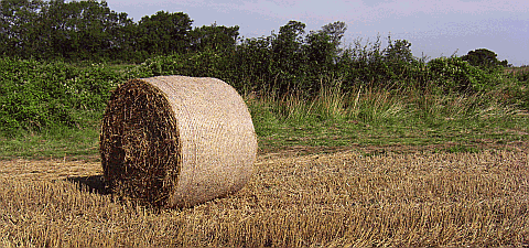 Harvest time is still an important part of village life in West Sussex Picture of harvest time