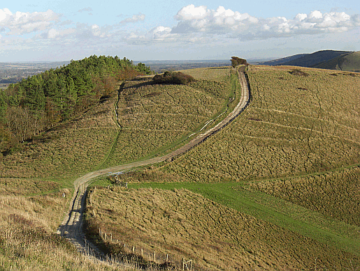 Walking on the east side of Beacon Hill The South Downs Way - one of the finest walks in the whole of England