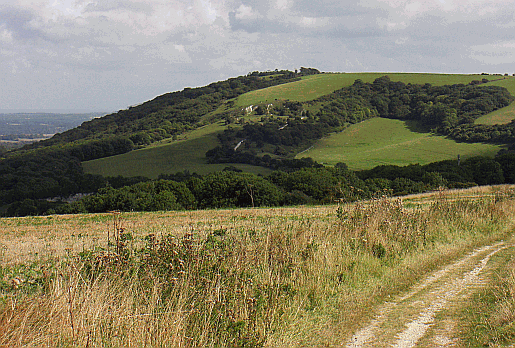 picture of the tumuli at Combe Holt overlooking Washington in West Sussex.