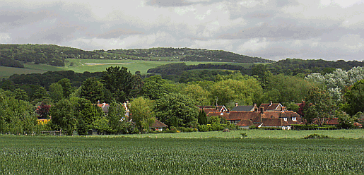West Ashling village looking north towards Kingley Vale