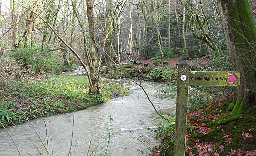 Costers Brook flowing past Dunford House south of West Lavington in West Sussex Picture of West Lavington