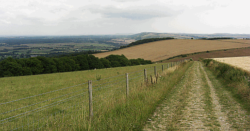 Picture of the South Downs Way on Westburton Hill