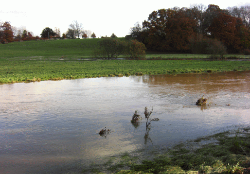 The Wey and Arun Canal