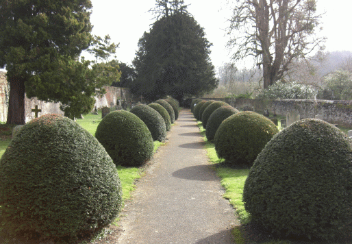 Picture of the Churchyard of All Hallows at Woolbeding