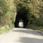 The Road to Rackham, near Storrington