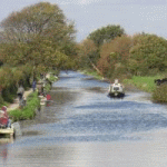 Chichester Canal near Hunston