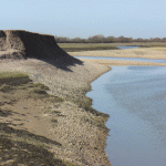 Near the mouth of Pagham Harbour