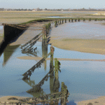 Pagham Harbour and man