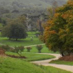 A view of Parham Park